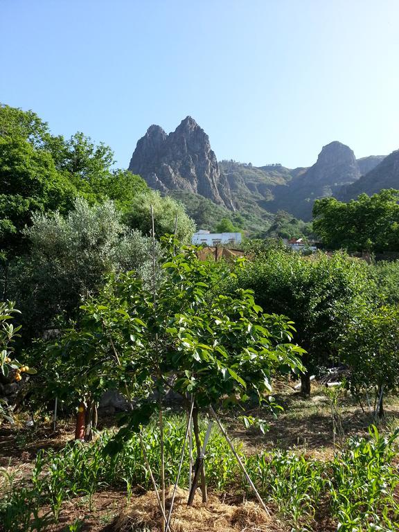 Casa Conchita Villa Valsequillo Oda fotoğraf